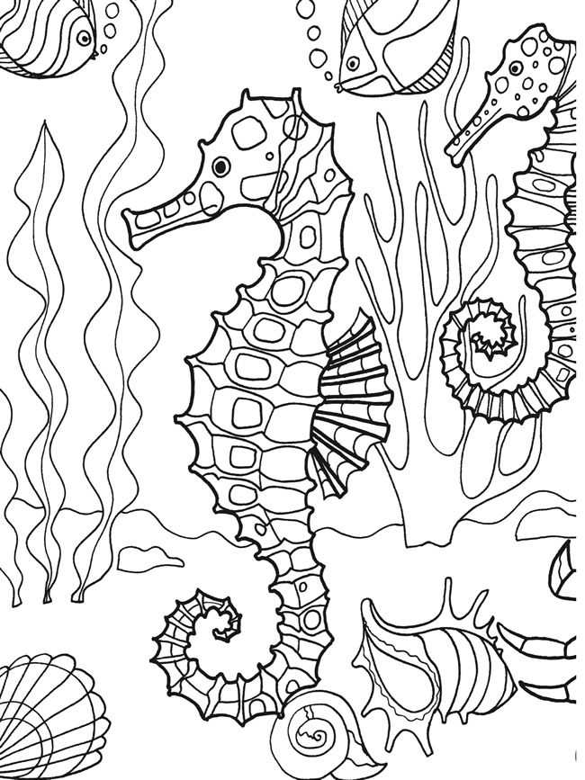 75 Beach Themed Coloring Pages 24