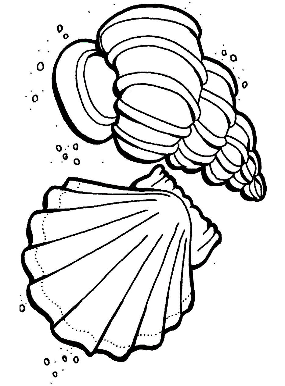 75 Beach Themed Coloring Pages 31