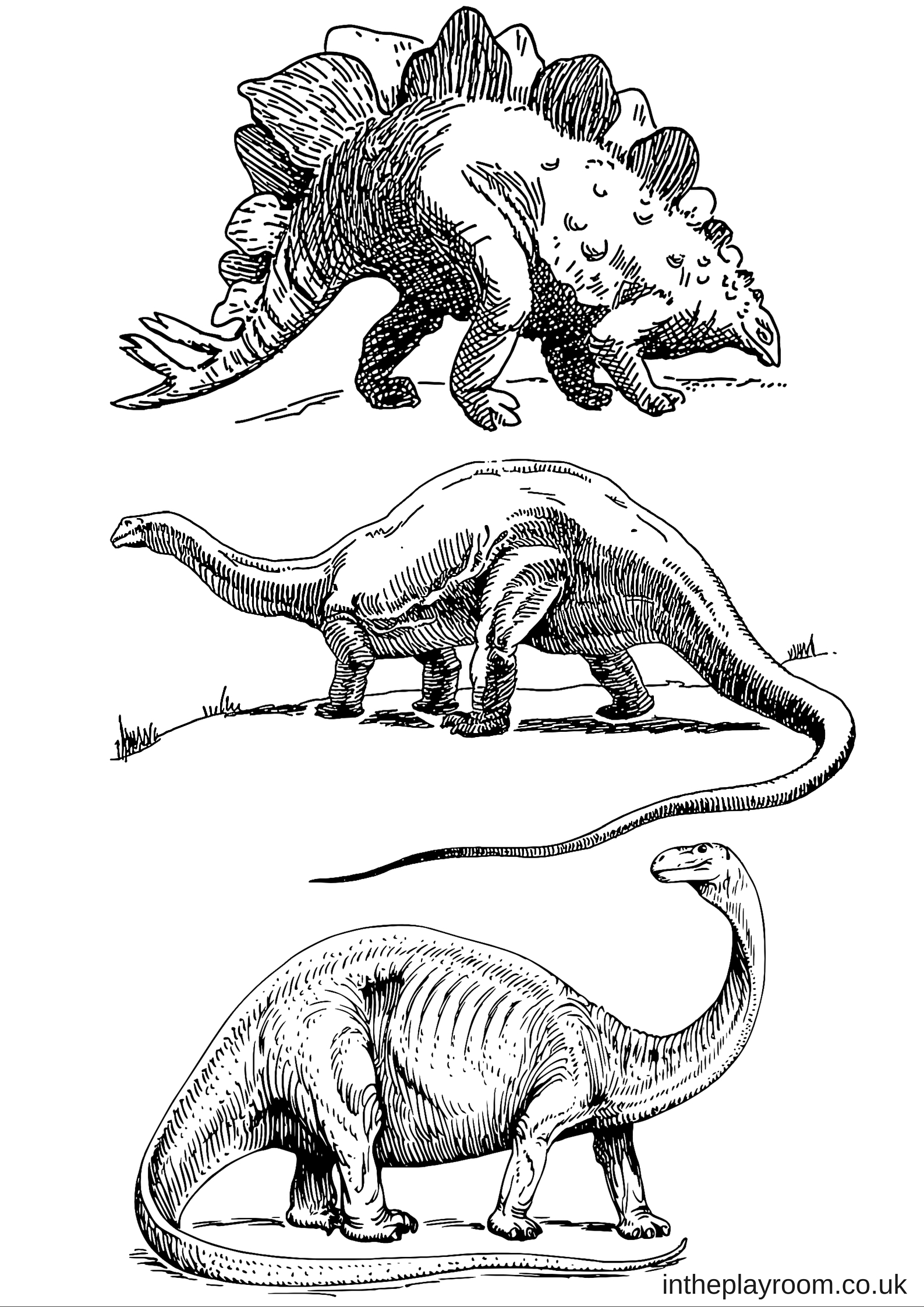 Free Coloring Pages Dinosaurs 4