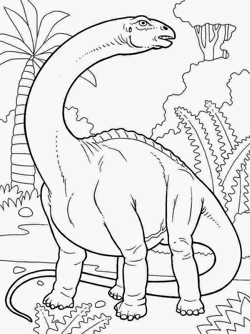 Free Coloring Pages Dinosaurs 50