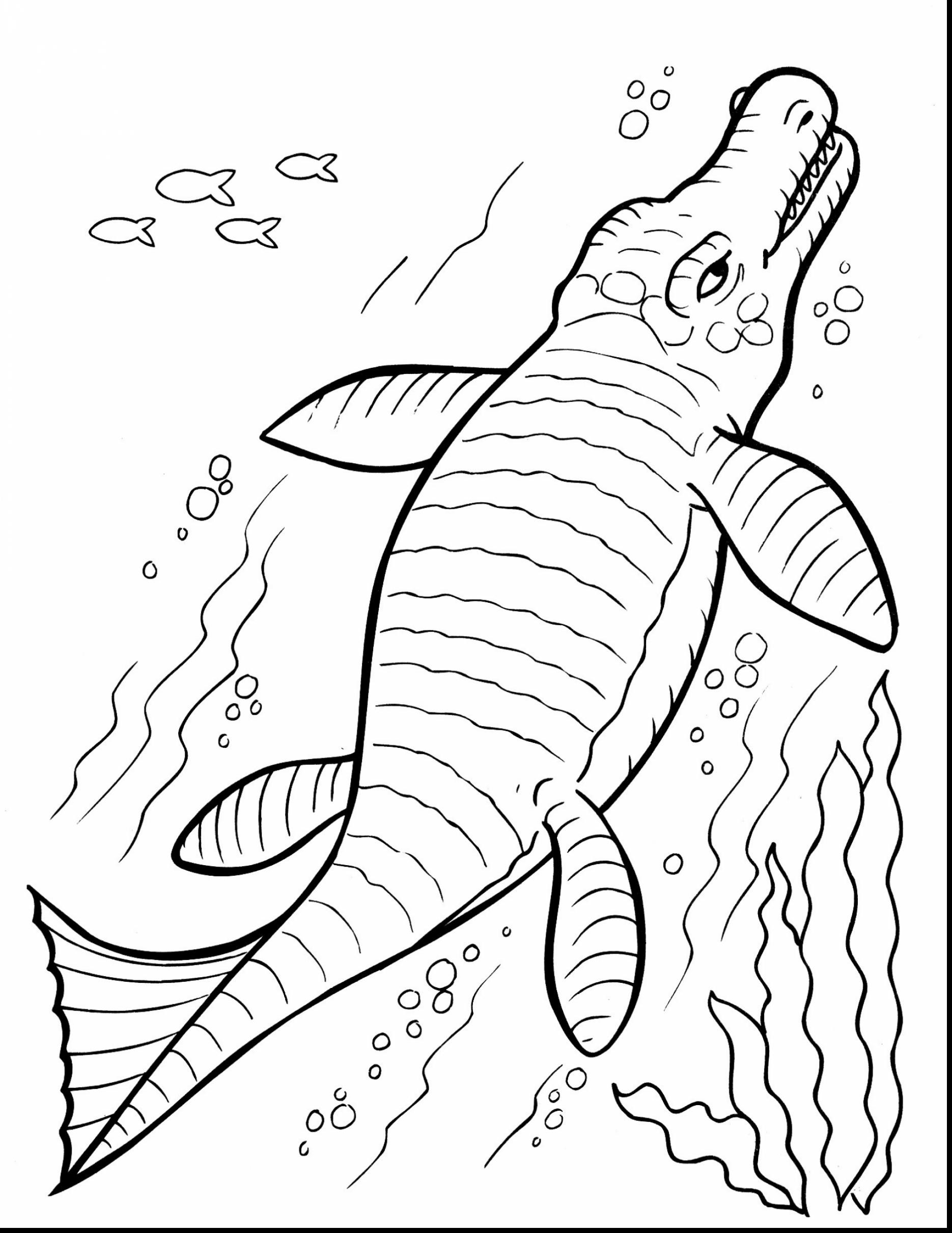 Free Coloring Pages Dinosaurs 51