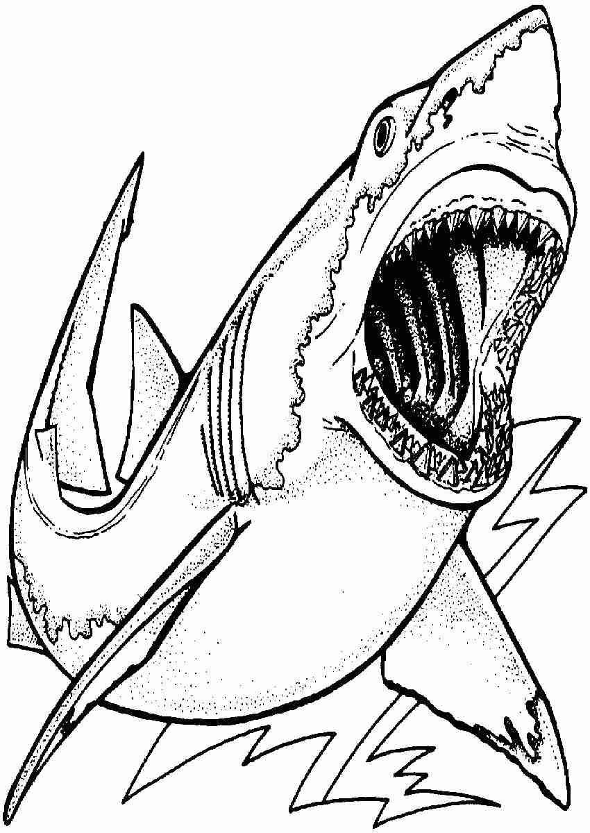 Megalodon Coloring Sheet 1