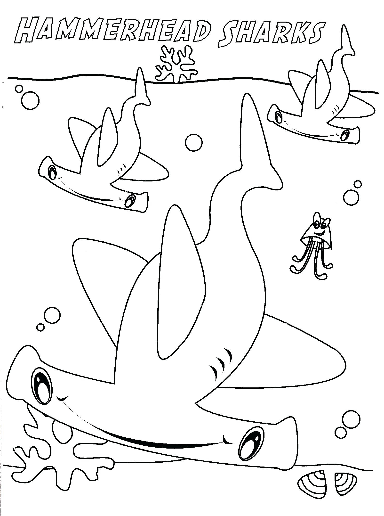 Megalodon Coloring Sheet 12