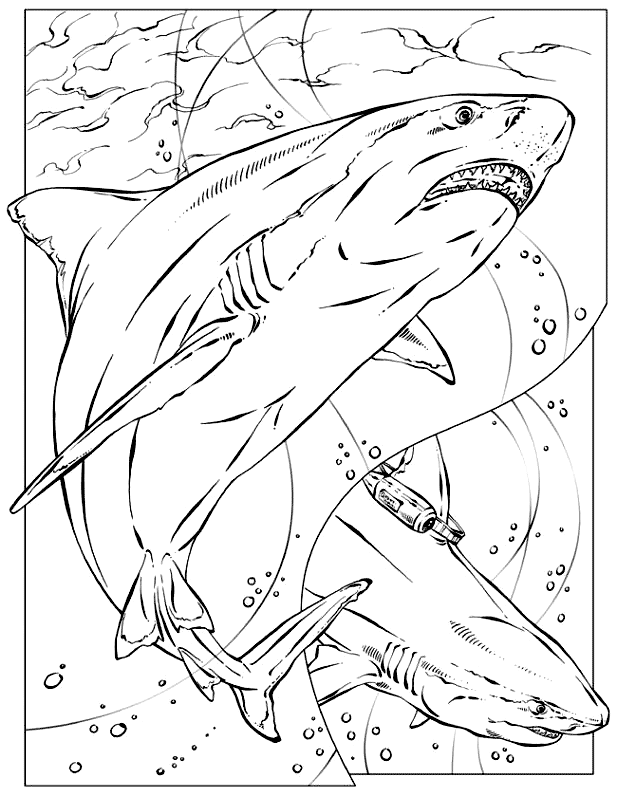 Megalodon Coloring Sheet 14