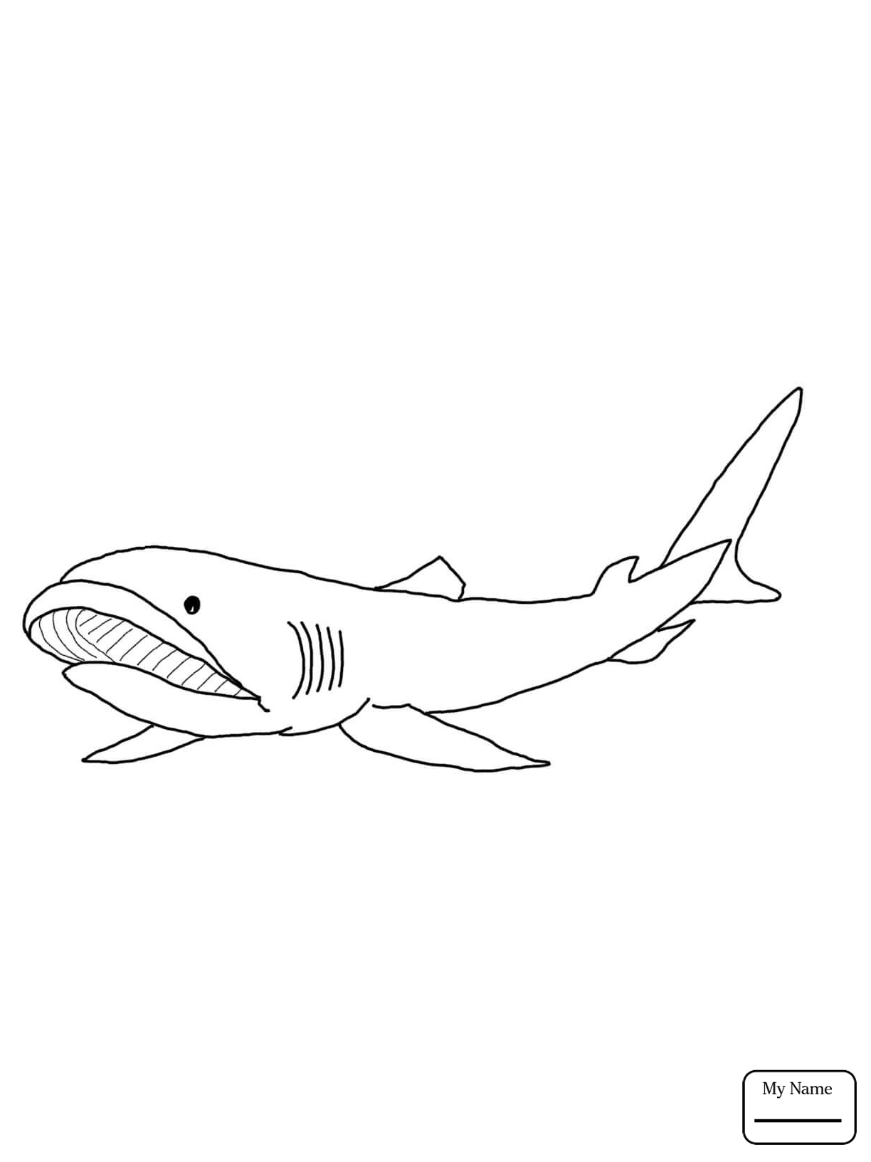 Megalodon Coloring Sheet 15