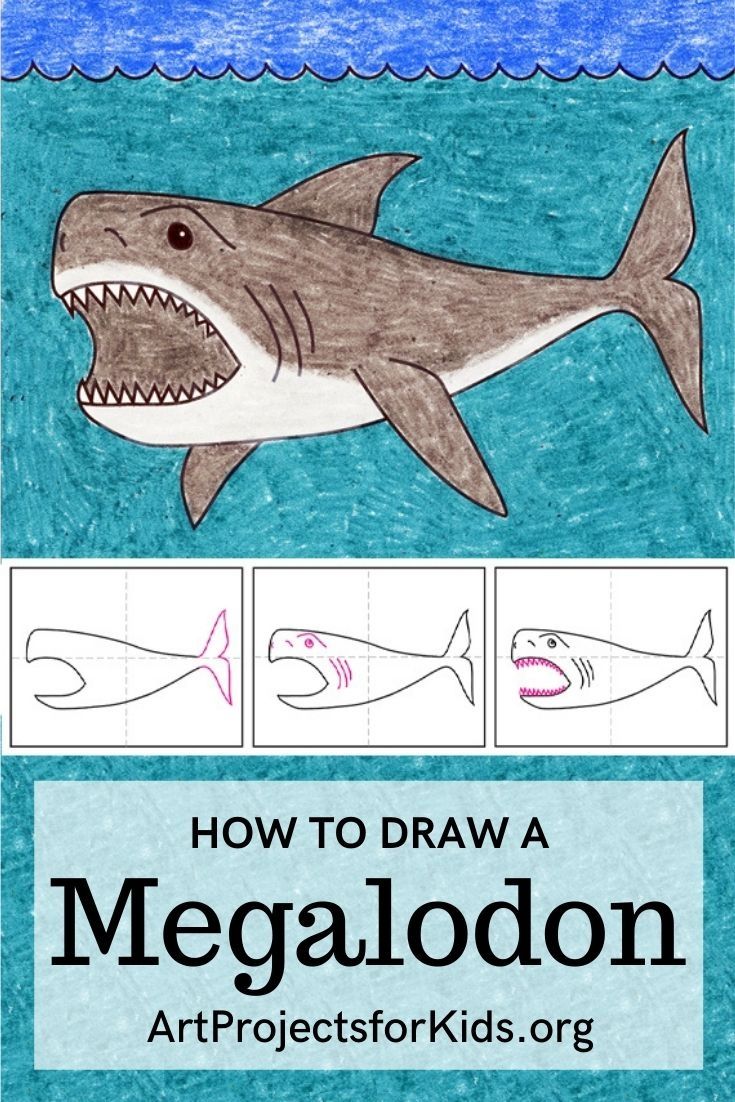 Megalodon Coloring Sheet 16