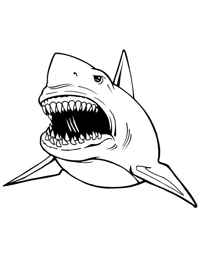 Megalodon Coloring Sheet 17