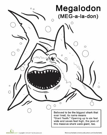 Megalodon Coloring Sheet 2