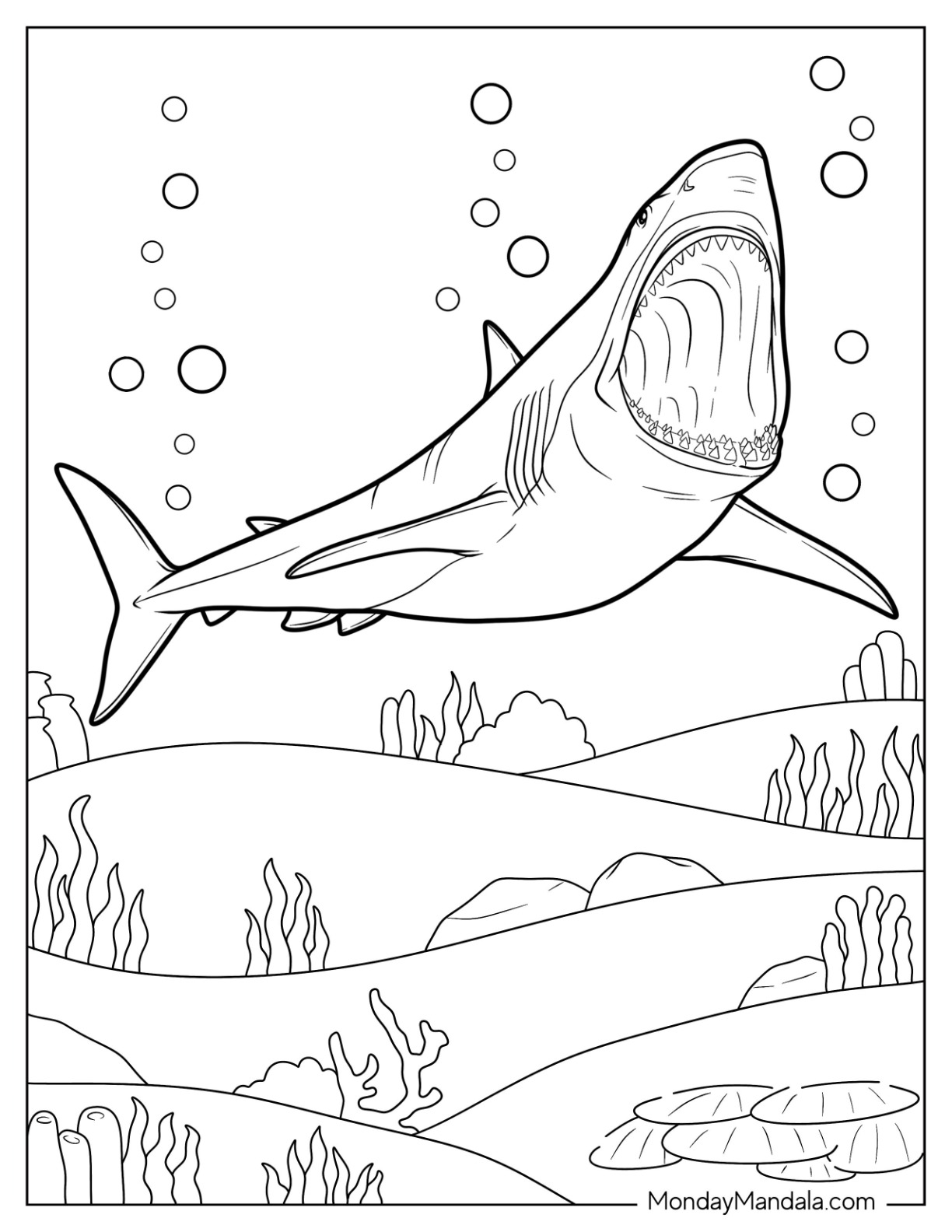 Megalodon Coloring Sheet 22