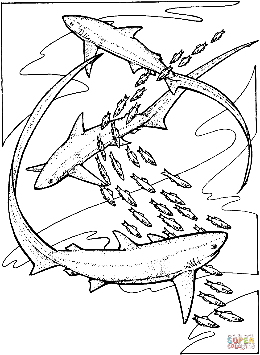 Megalodon Coloring Sheet 27