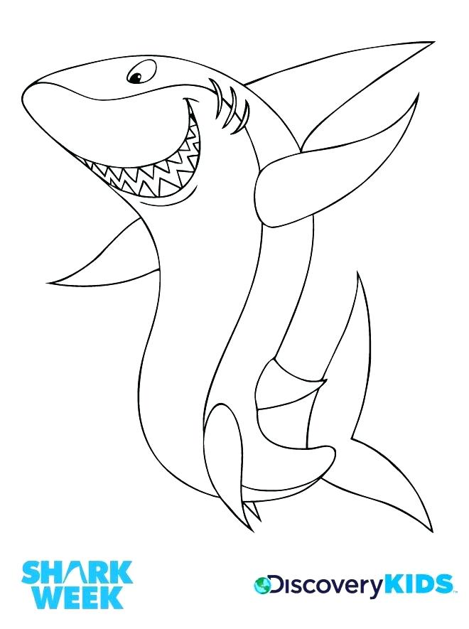 Megalodon Coloring Sheet 4