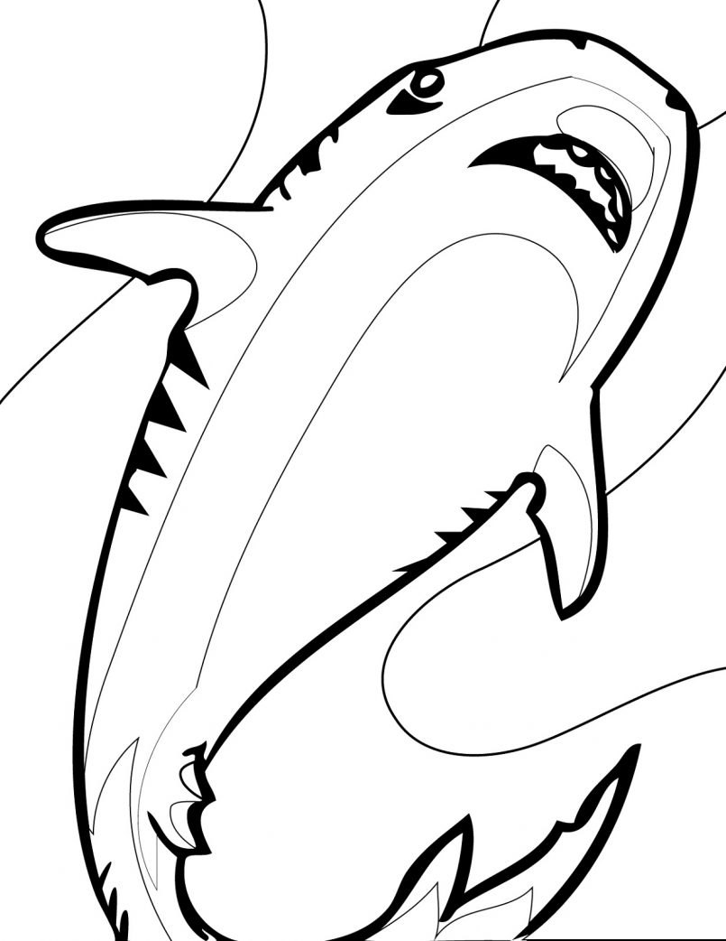 Megalodon Coloring Sheet 47