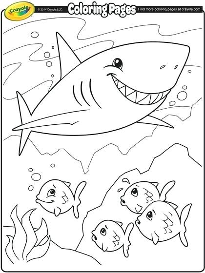 Megalodon Coloring Sheet 50