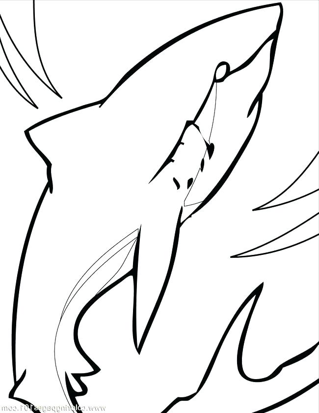 Megalodon Coloring Sheet 57