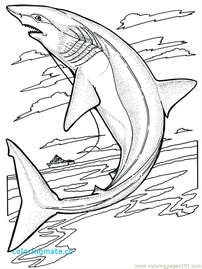 Megalodon Coloring Sheet 58