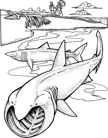 Megalodon Coloring Sheet 59