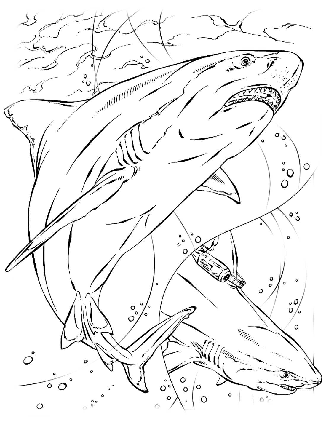 Megalodon Coloring Sheet 64