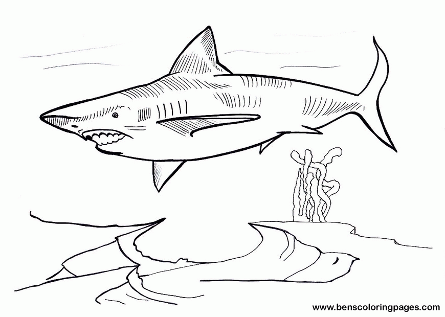 Megalodon Coloring Sheet 68