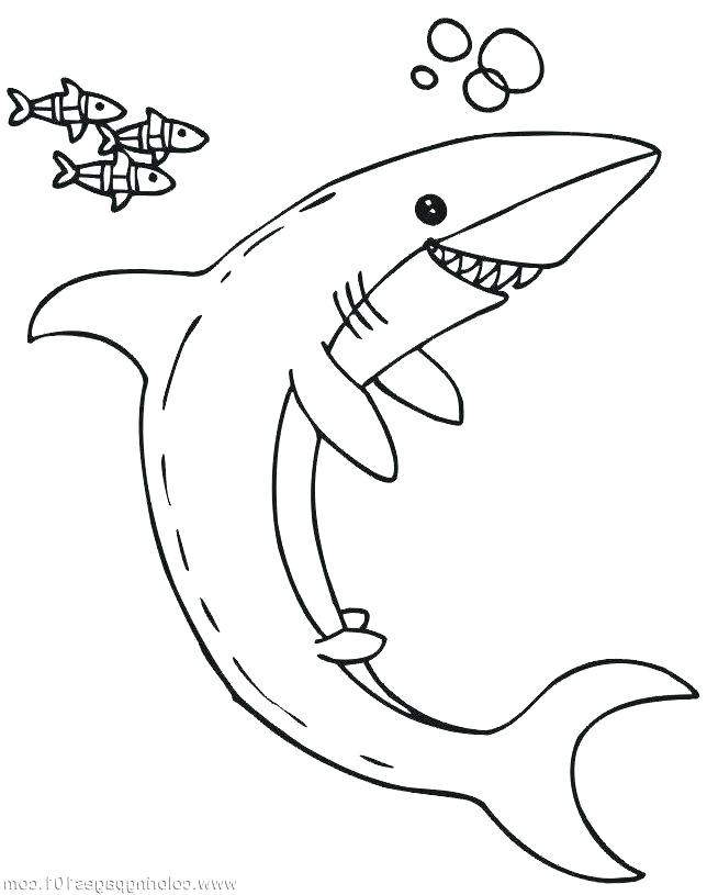 Megalodon Coloring Sheet 69