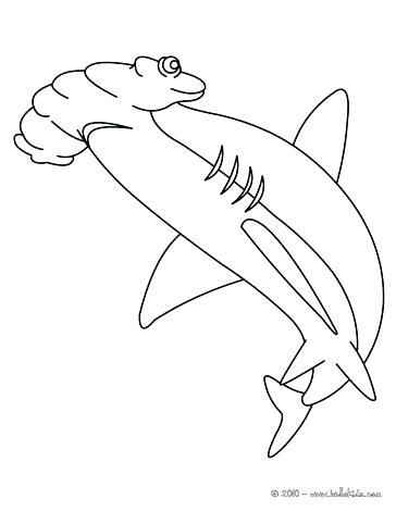 Megalodon Coloring Sheet 82