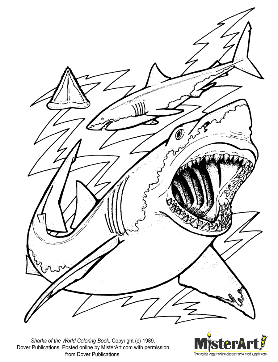 Megalodon Coloring Sheet 87