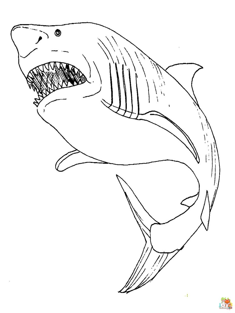 Megalodon Coloring Sheet 88