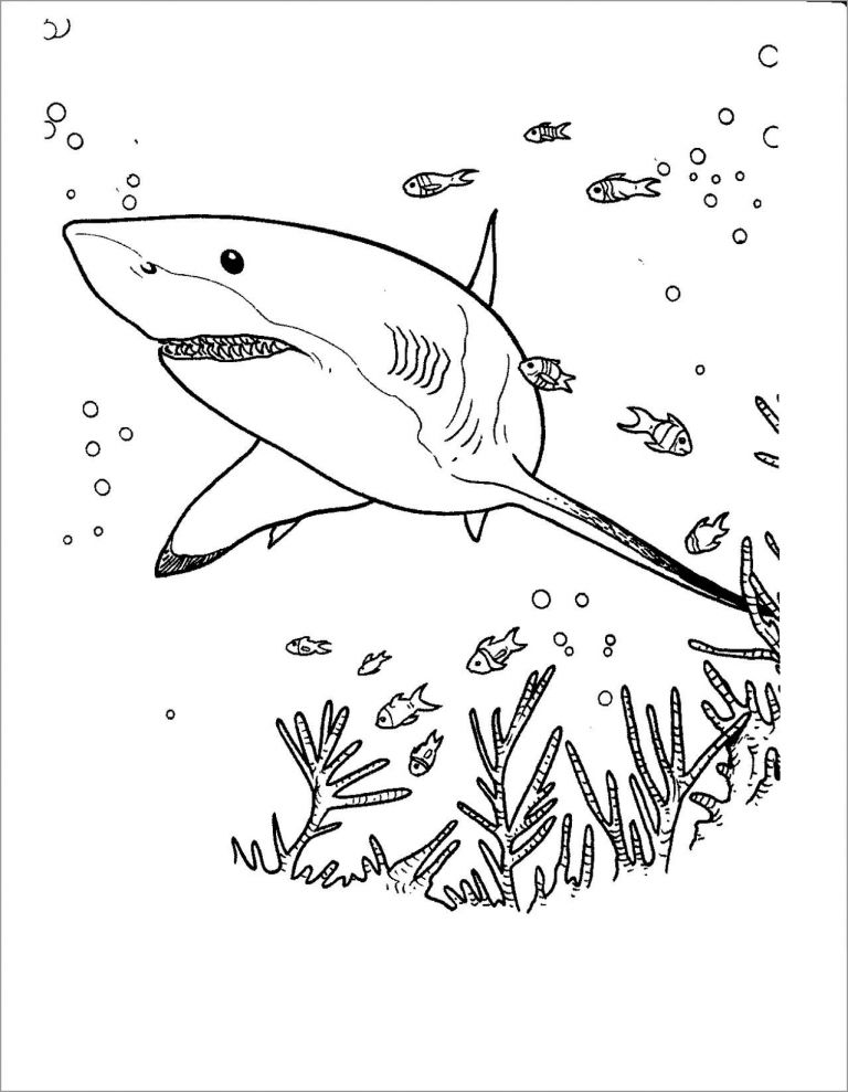 Megalodon Coloring Sheet 89