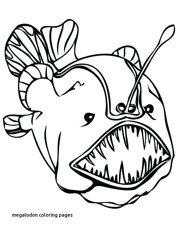 Megalodon Coloring Sheet 9