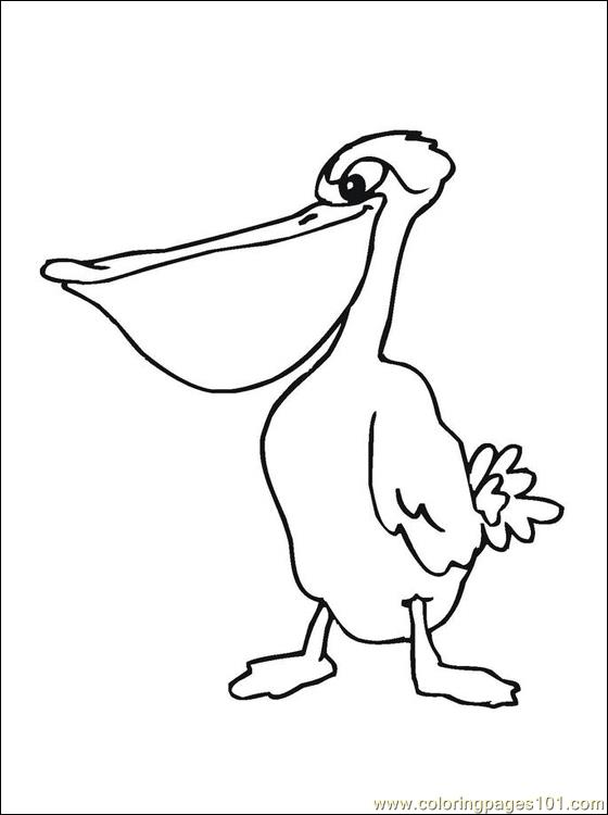 Pelican Coloring Pages 23