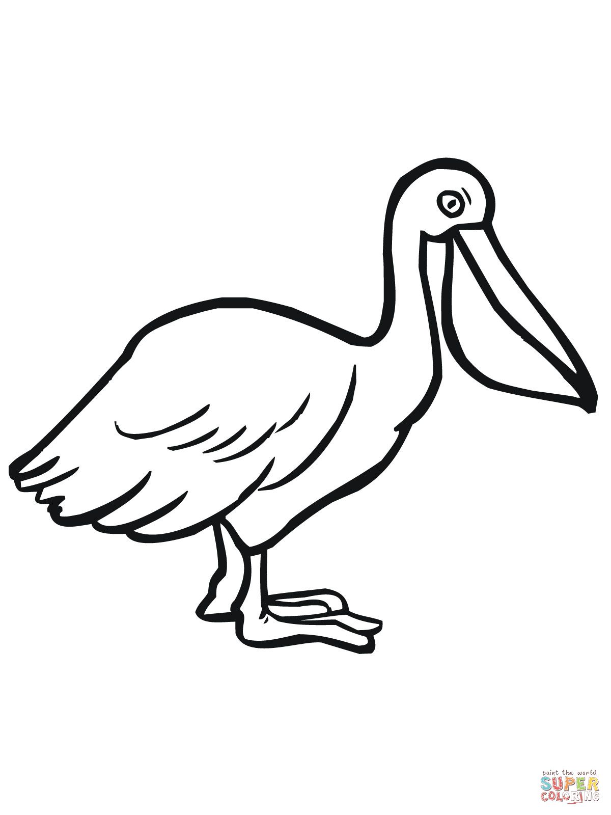 Pelican Coloring Pages 26