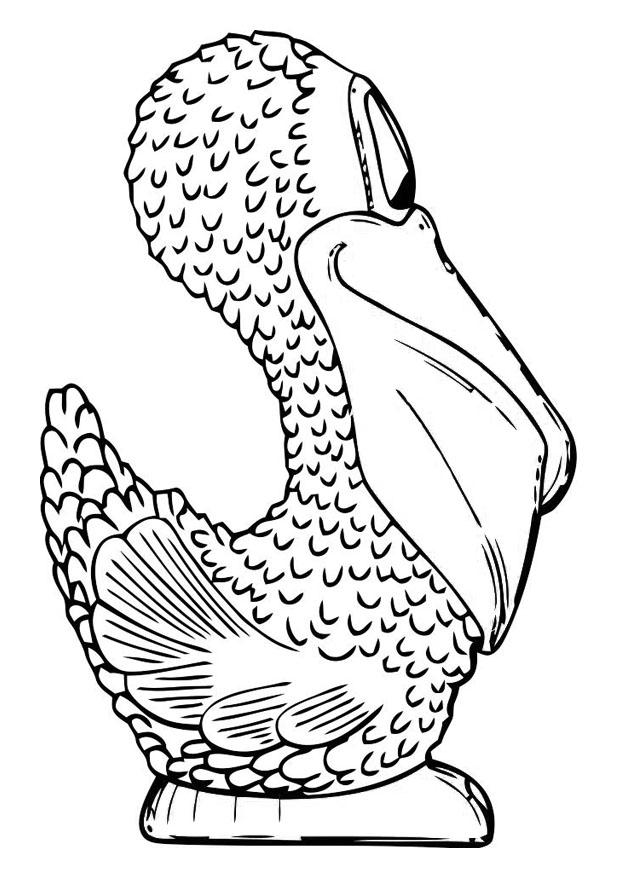 Pelican Coloring Pages 34