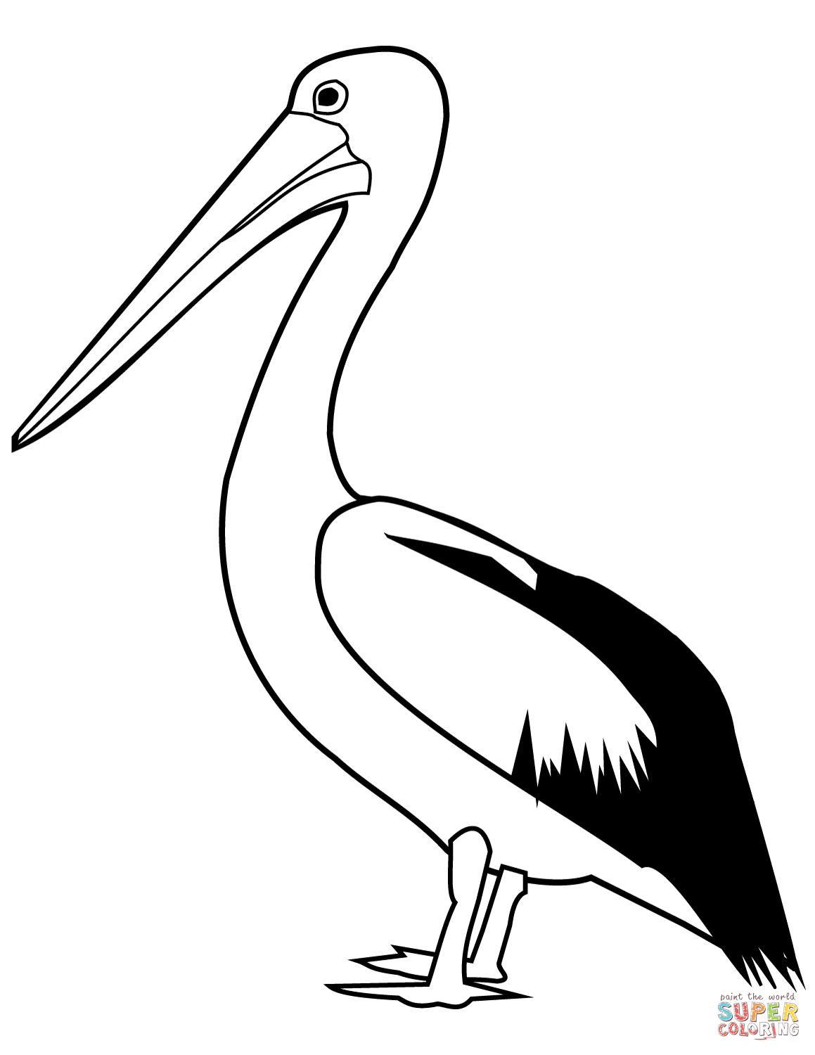 Pelican Coloring Pages 58