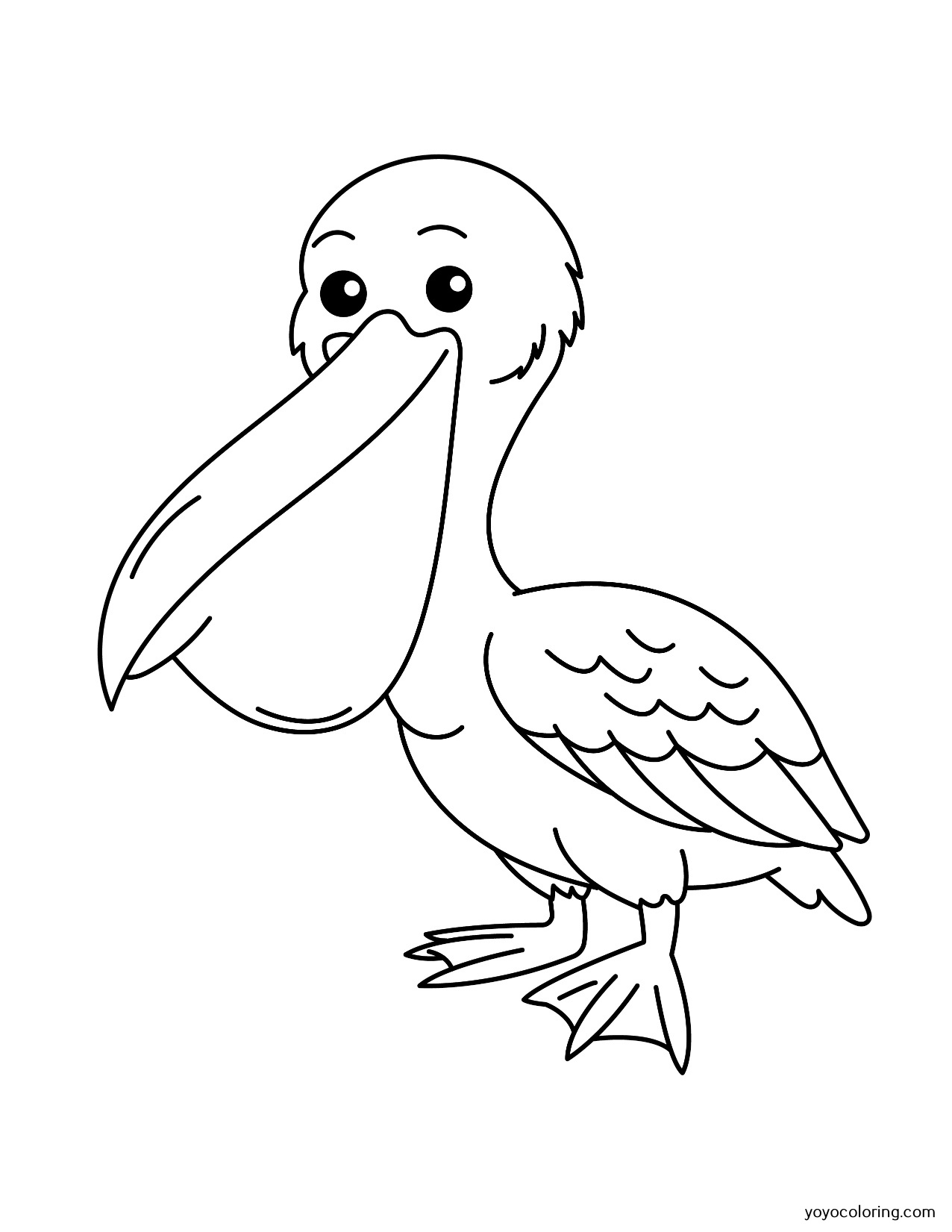 Pelican Coloring Pages 77