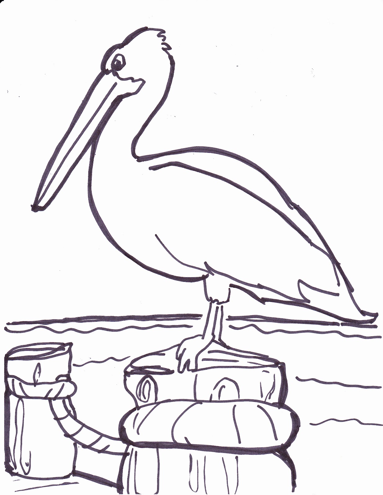 Pelican Coloring Pages 79