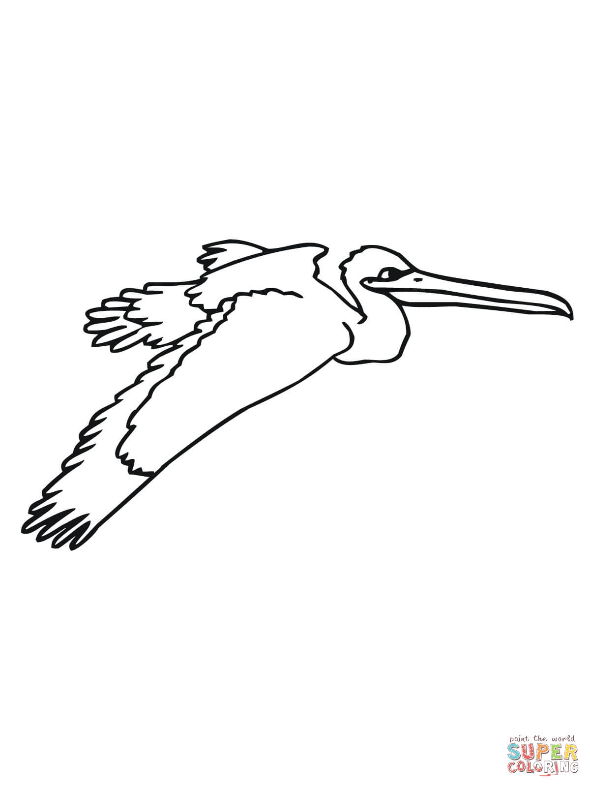 Pelican Coloring Pages 87