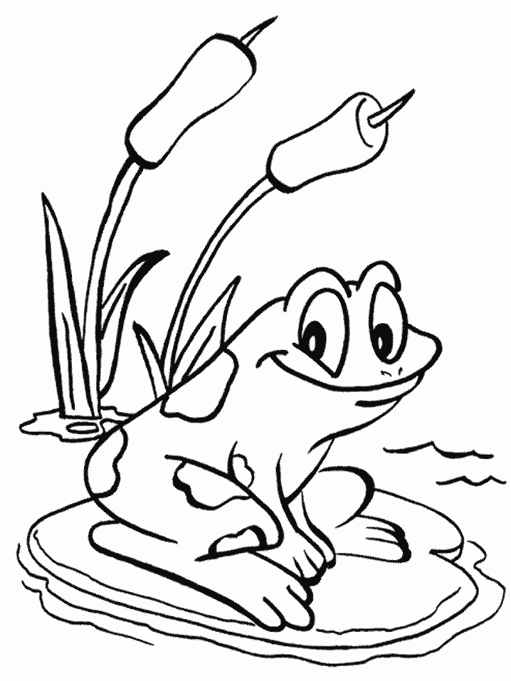 25 Free Coloring Pages Frog 10