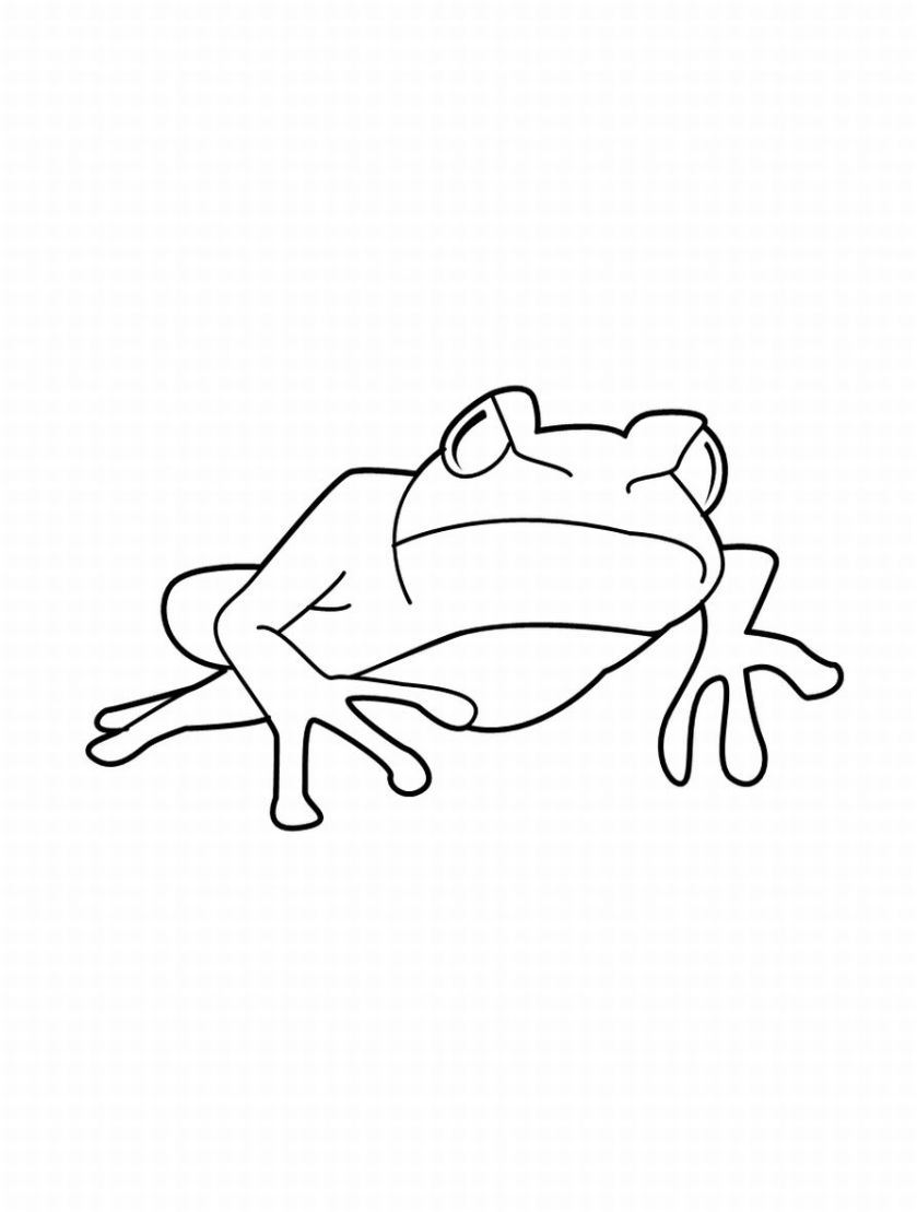 25 Free Coloring Pages Frog 17