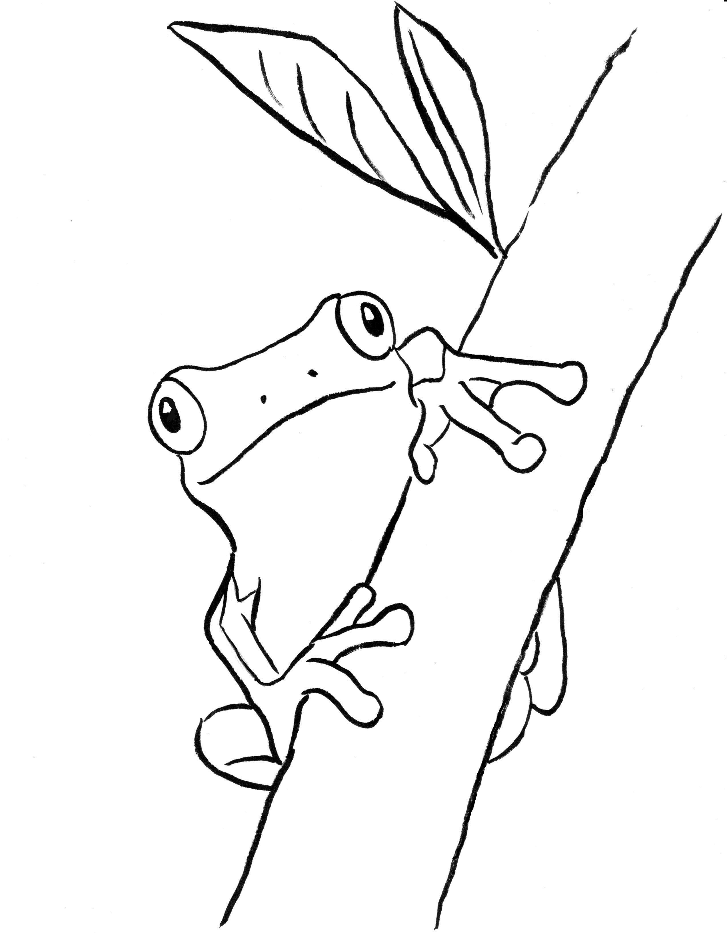 25 Free Coloring Pages Frog 18