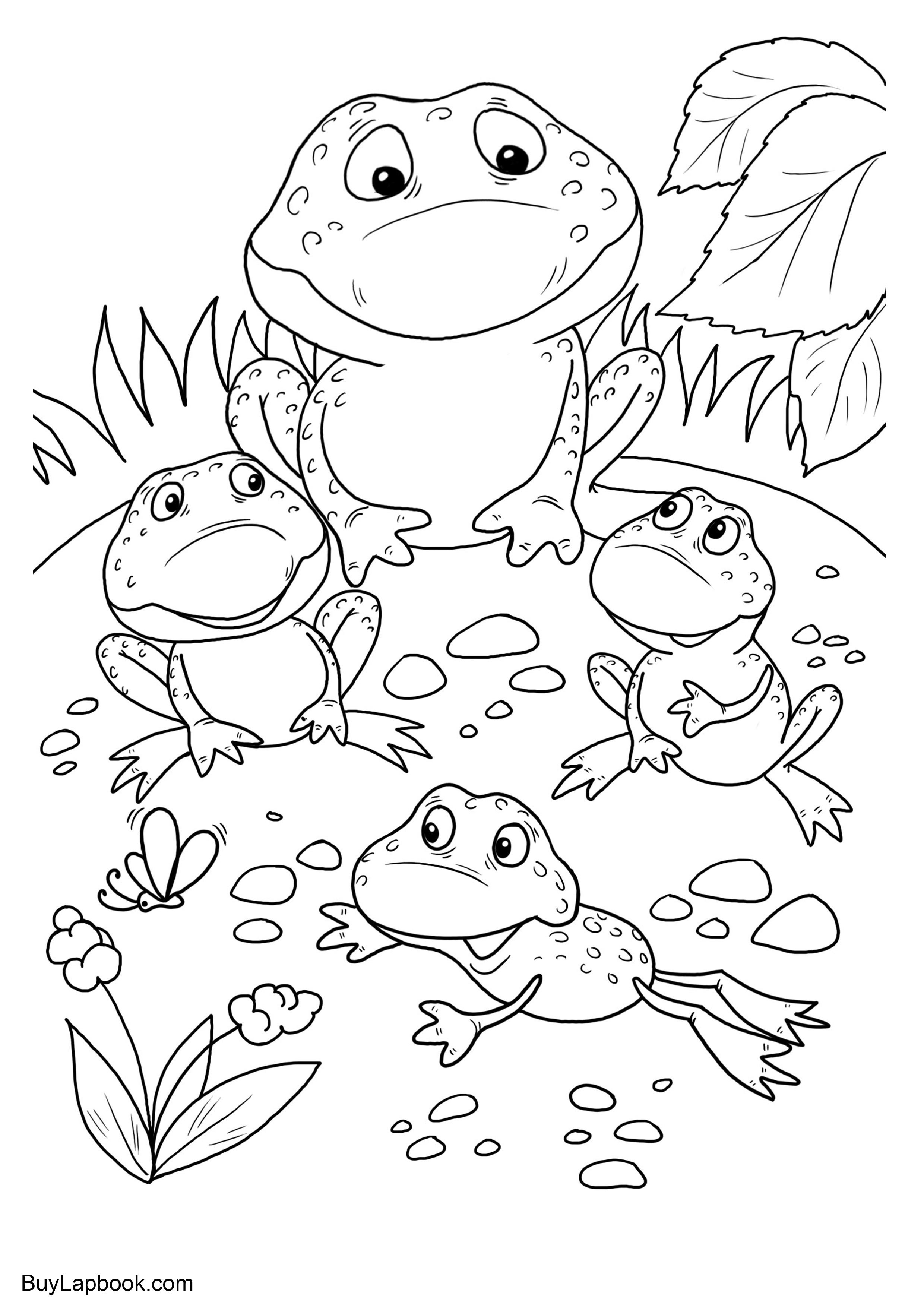 25 Free Coloring Pages Frog 19