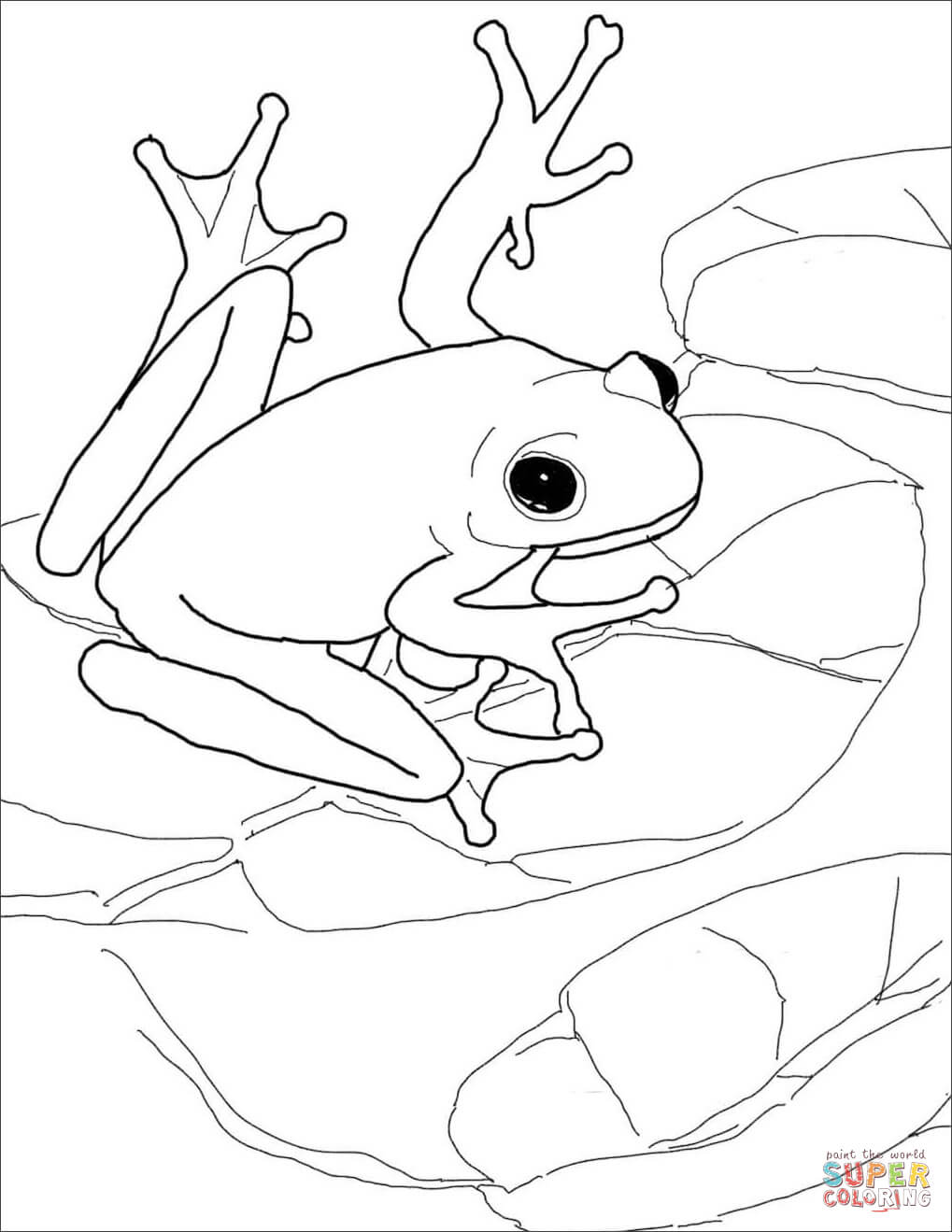 25 Free Coloring Pages Frog 20