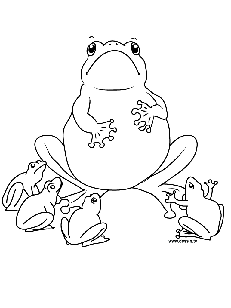 25 Free Coloring Pages Frog 22