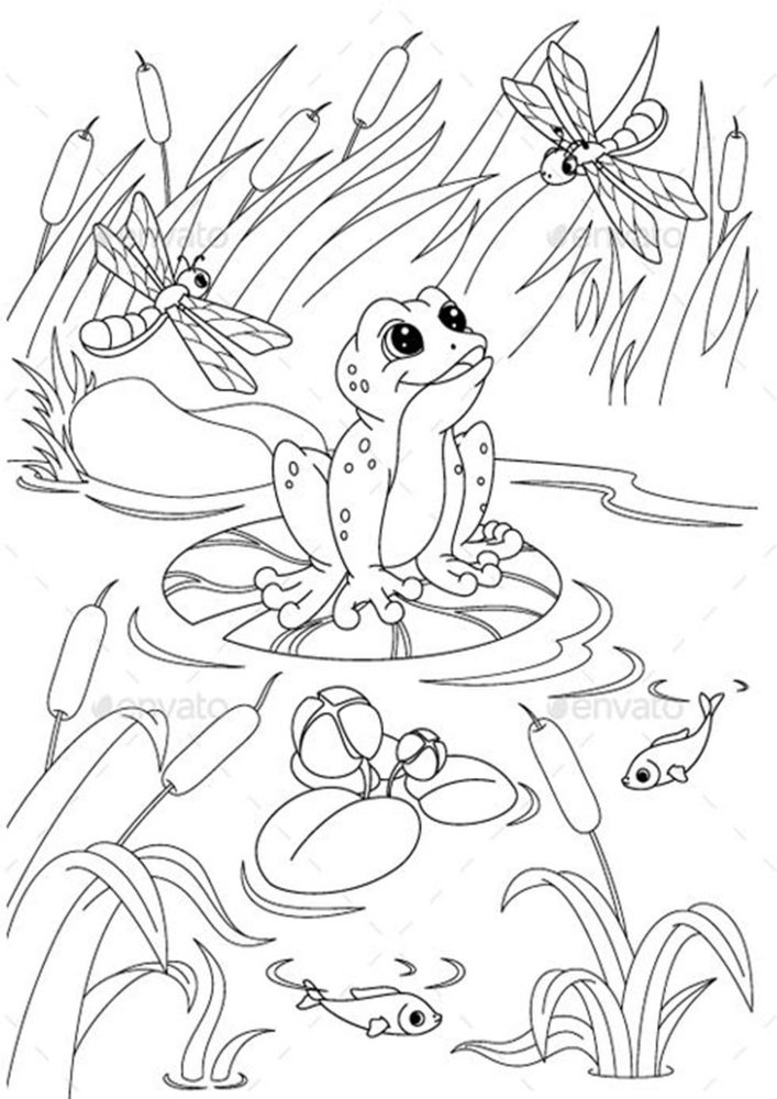 25 Free Coloring Pages Frog 28