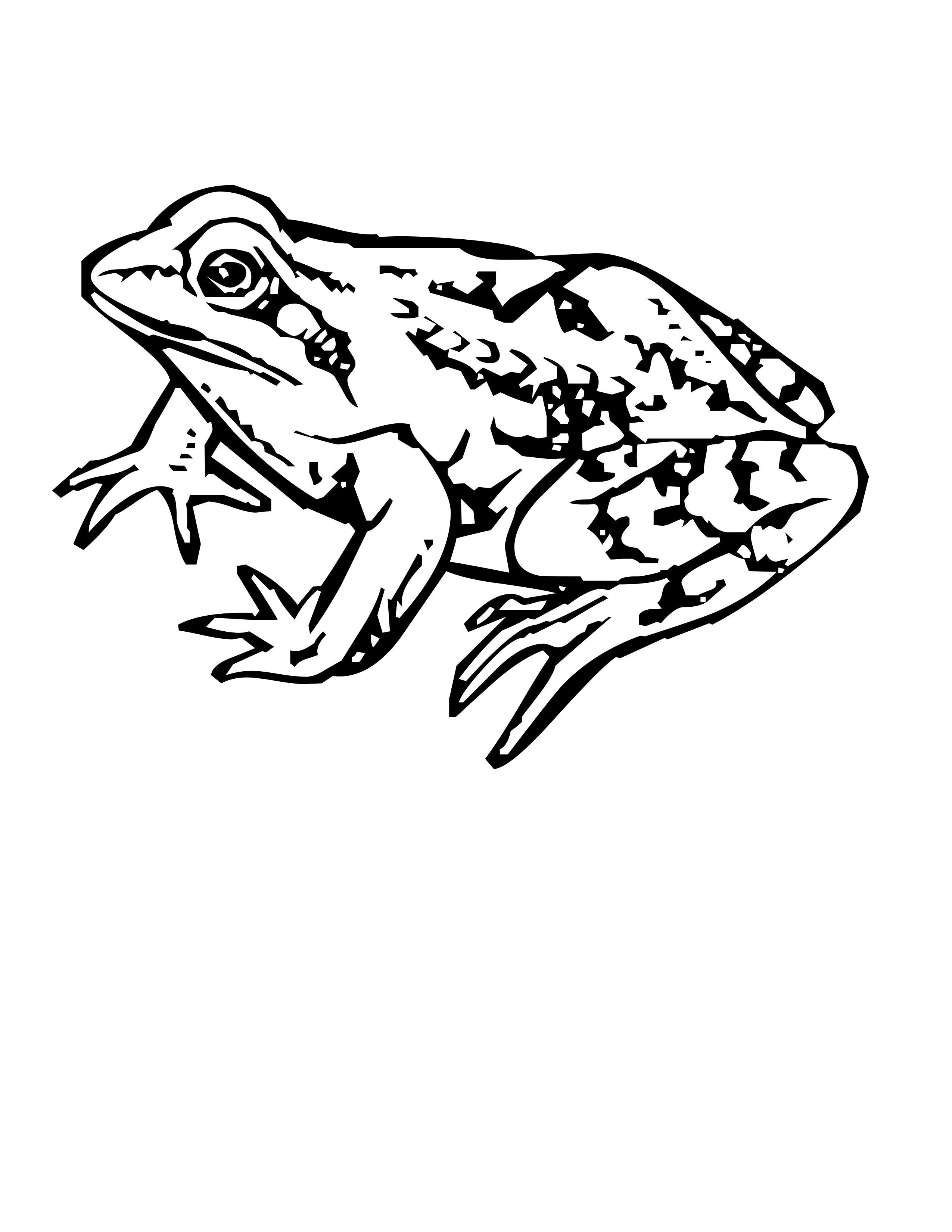 25 Free Coloring Pages Frog 4