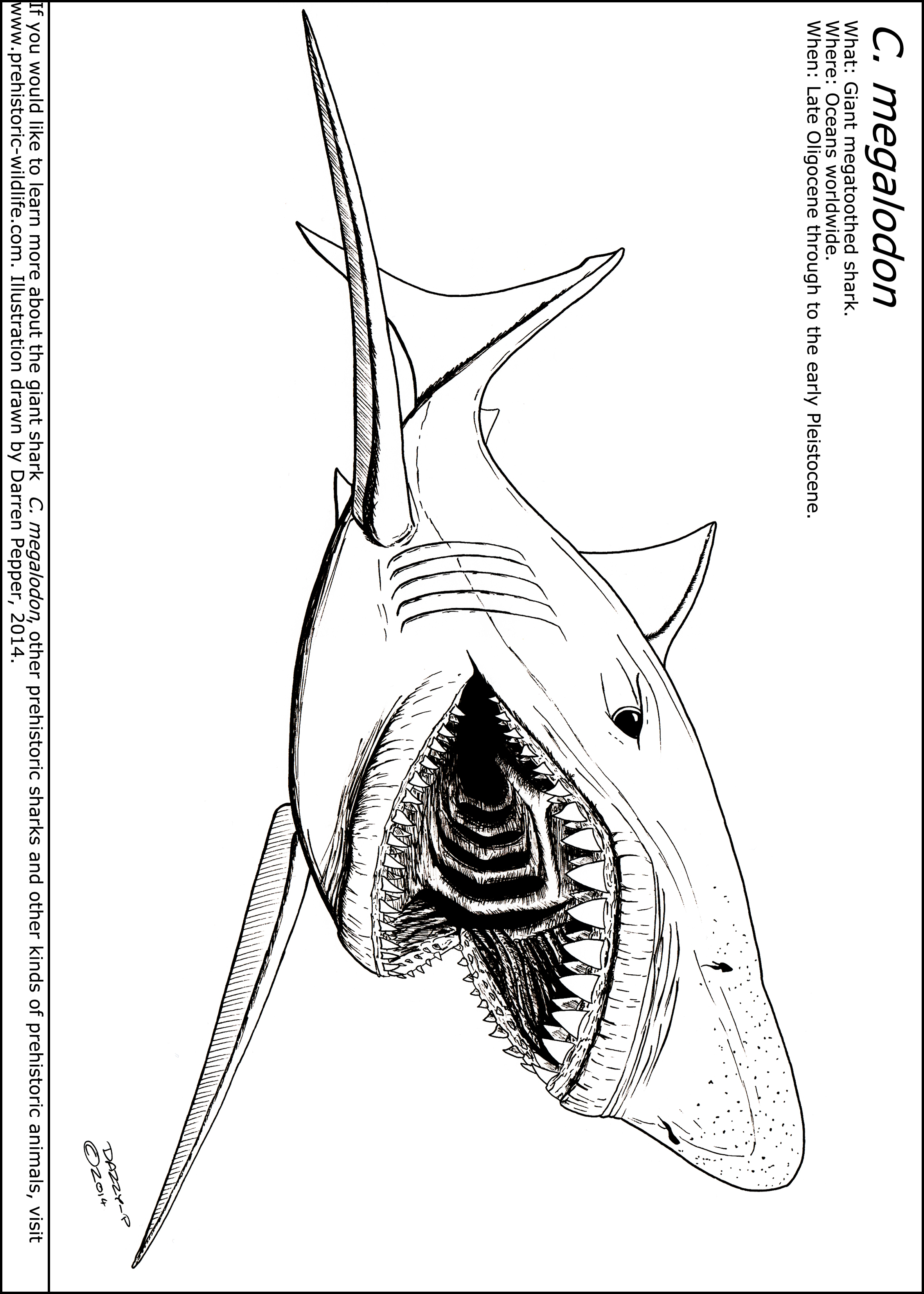 40 Coloring Pages Megalodon 1