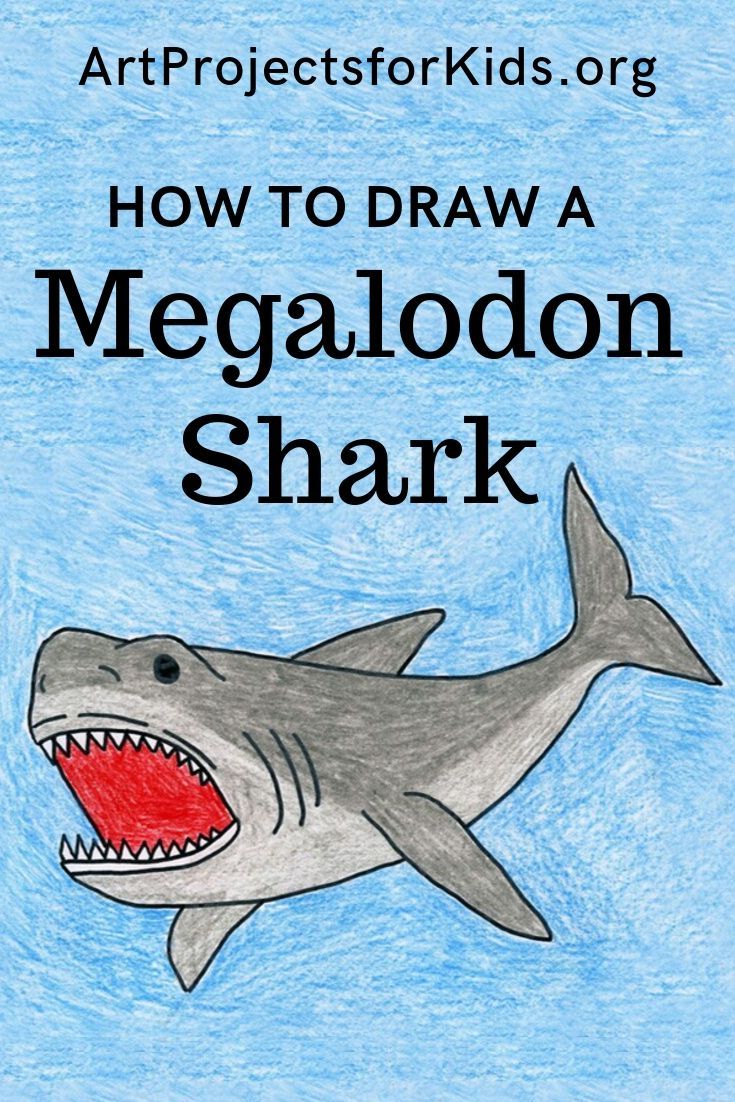 40 Coloring Pages Megalodon 14