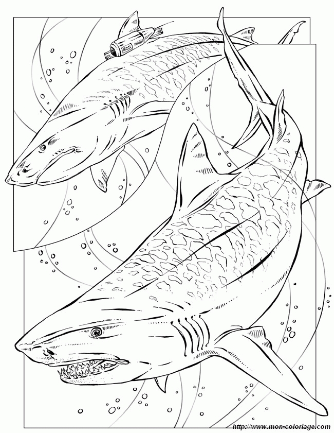 40 Coloring Pages Megalodon 16