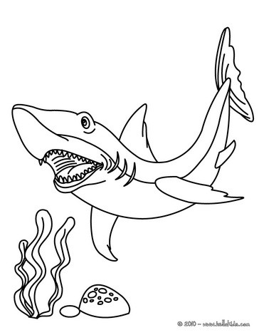 40 Coloring Pages Megalodon 21