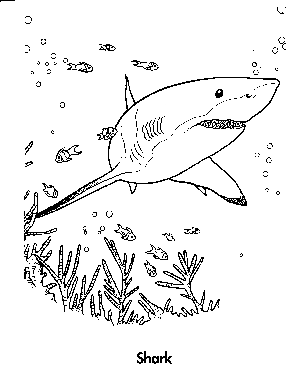 40 Coloring Pages Megalodon 26