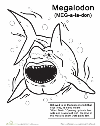 40 Coloring Pages Megalodon 40