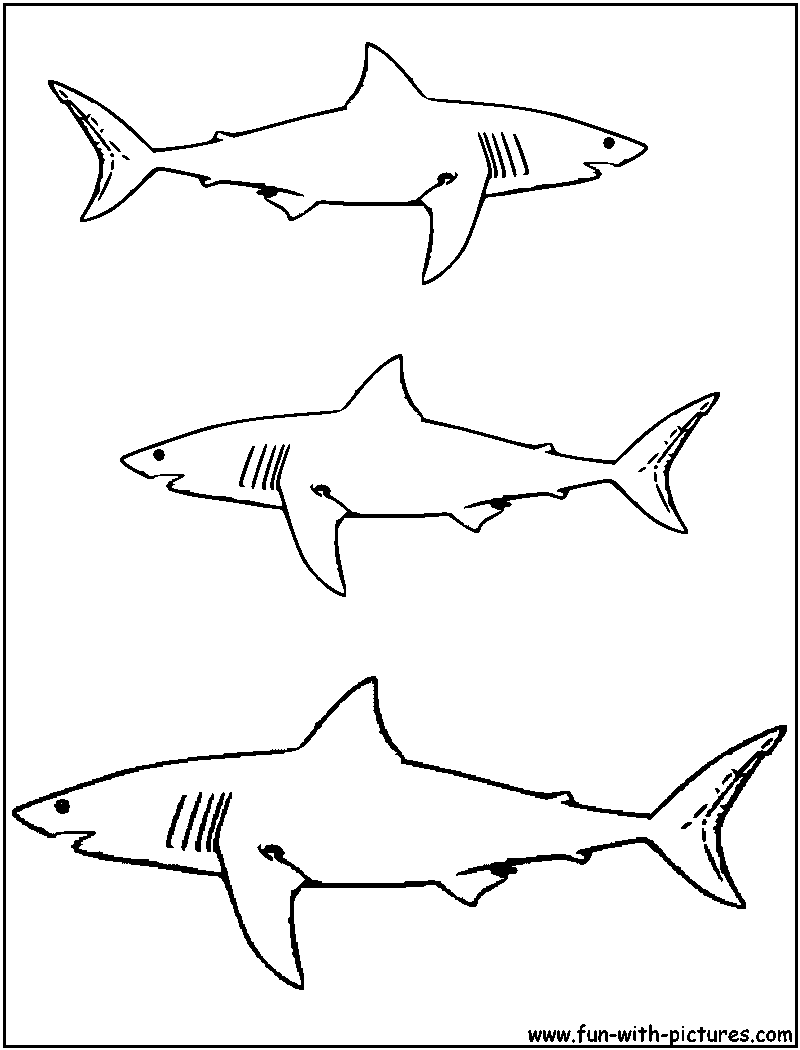 40 Coloring Pages Megalodon 42